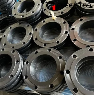 ASTM A105 কার্বন ইস্পাত ফ্ল্যাঞ্জ
